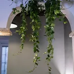 La Casa Di Hestia *