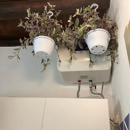 La Casa Di Hestia