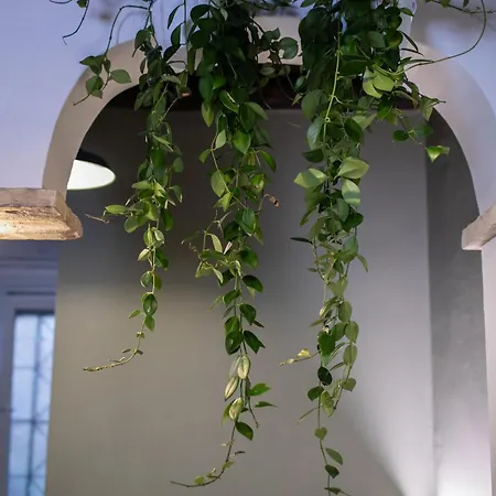 La Casa Di Hestia *